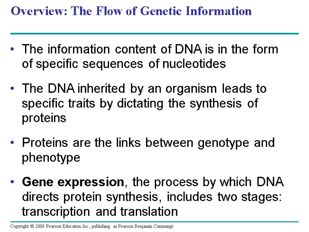 Overview: The Flow of Genetic Information The information content of DNA is in the